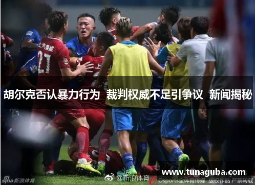 胡尔克否认暴力行为  裁判权威不足引争议  新闻揭秘